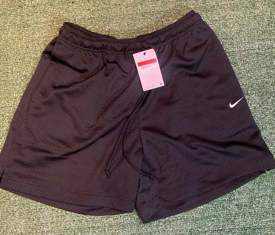 Nike Authentic Mesh Shorts (Large)