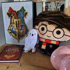 Harry Potter room decor bundle
