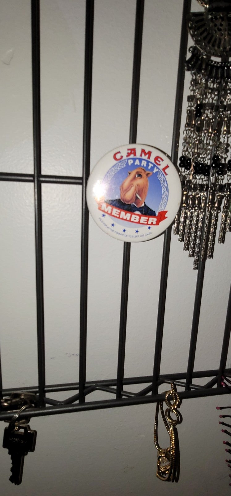 Vintage camel pin