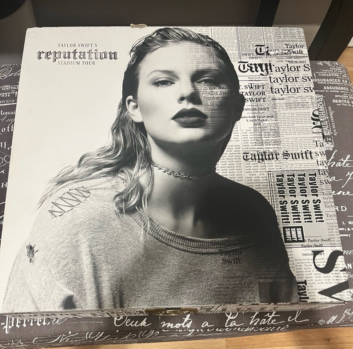 Taylor Swift Reputation Picture