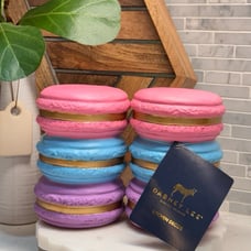 Dabney Lee Stacked Pastel & Gold Macaroon Set of 2 Kitchen Decor NEW