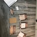 Bachelorette/ Bridal Shower Decor Lot
