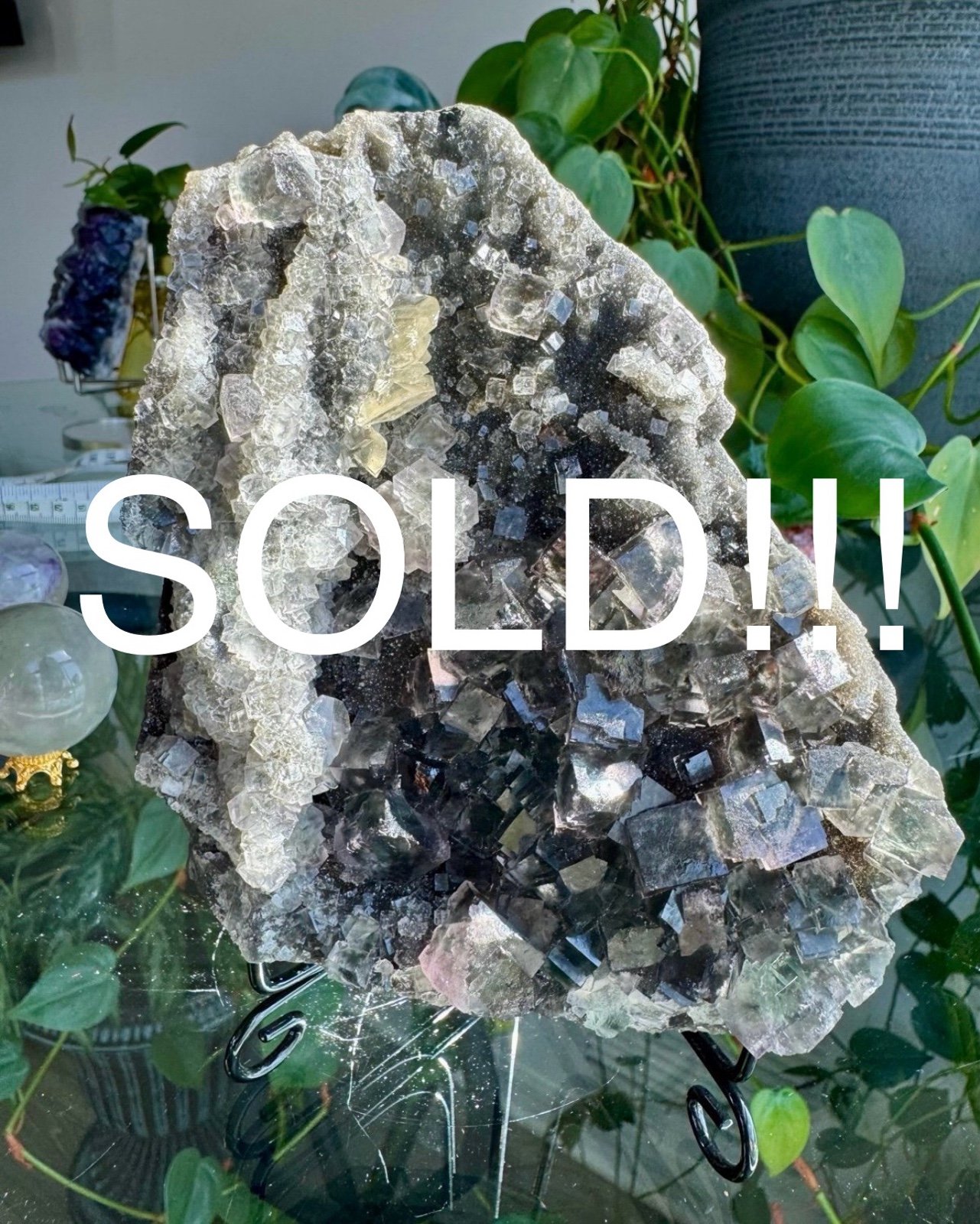 **SOLD!!!