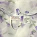 Frederick’s of Hollywood Floral Chiffon Robe