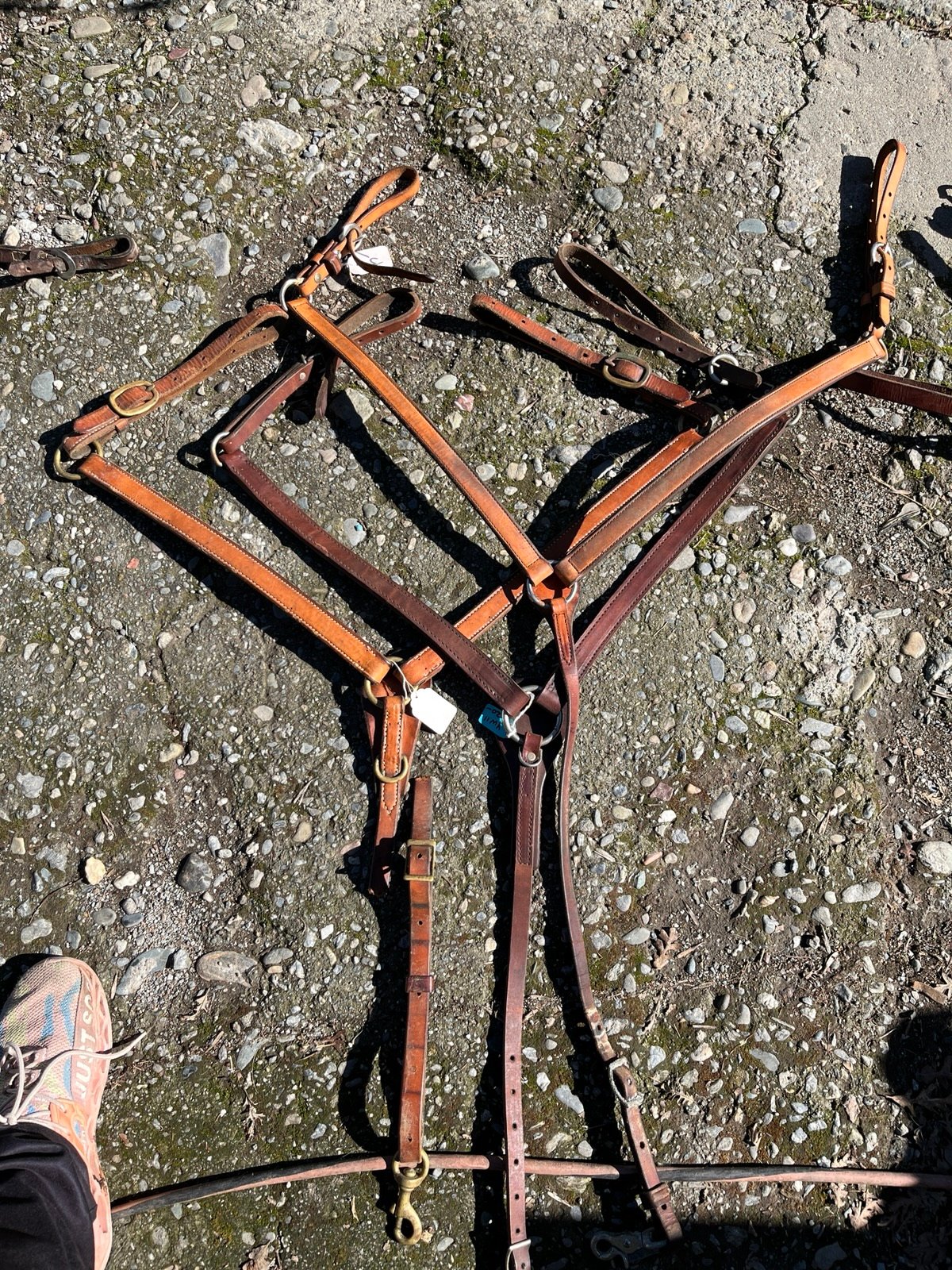 Three plain breastcollars