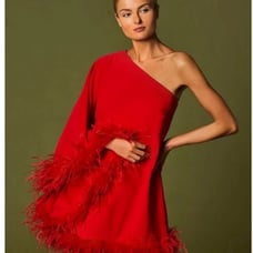 Antonio melani feather dress
