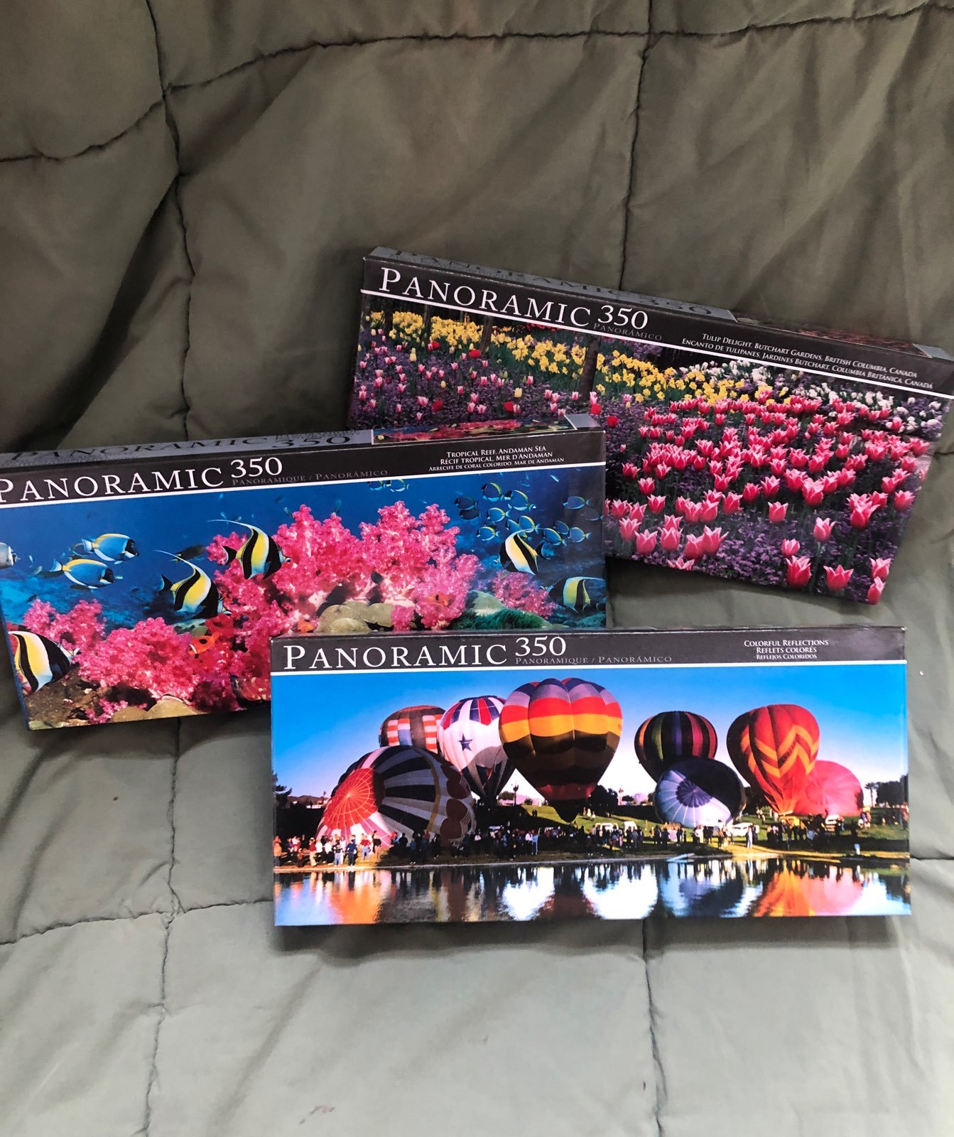 Three panoramic 350 piece puzzles