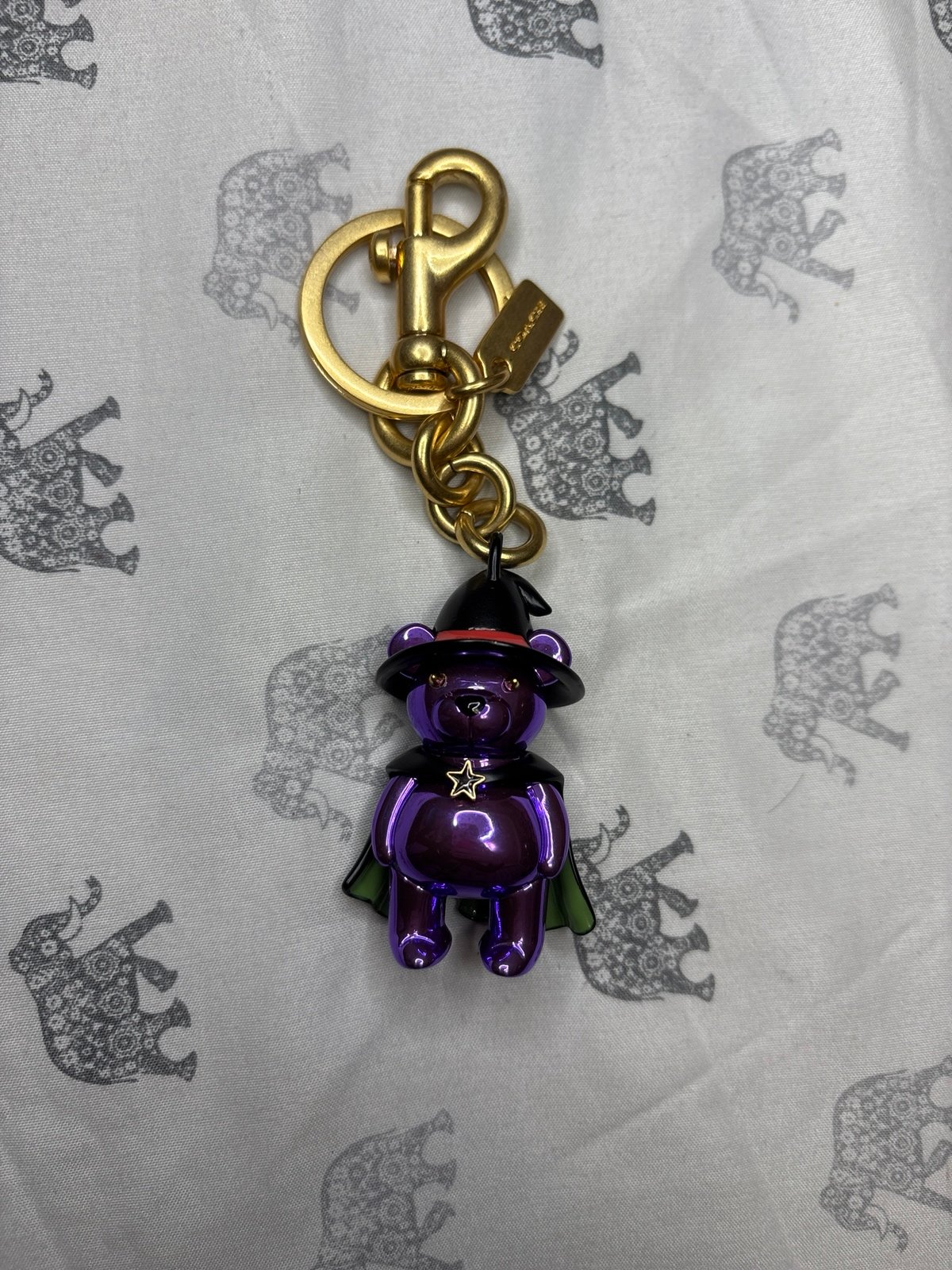 EUC coach witch (Halloween) bear