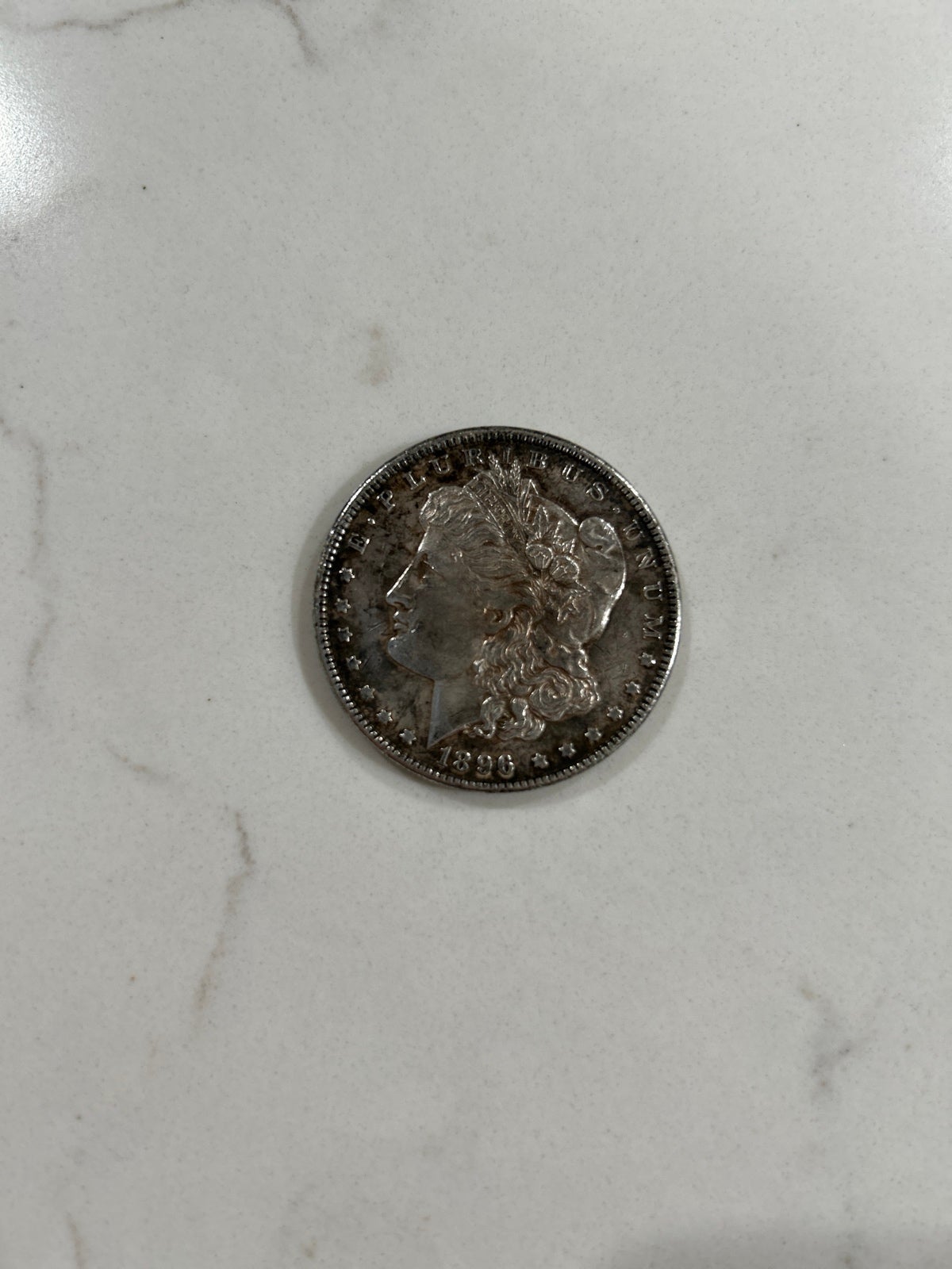 1896 Silver Dollar