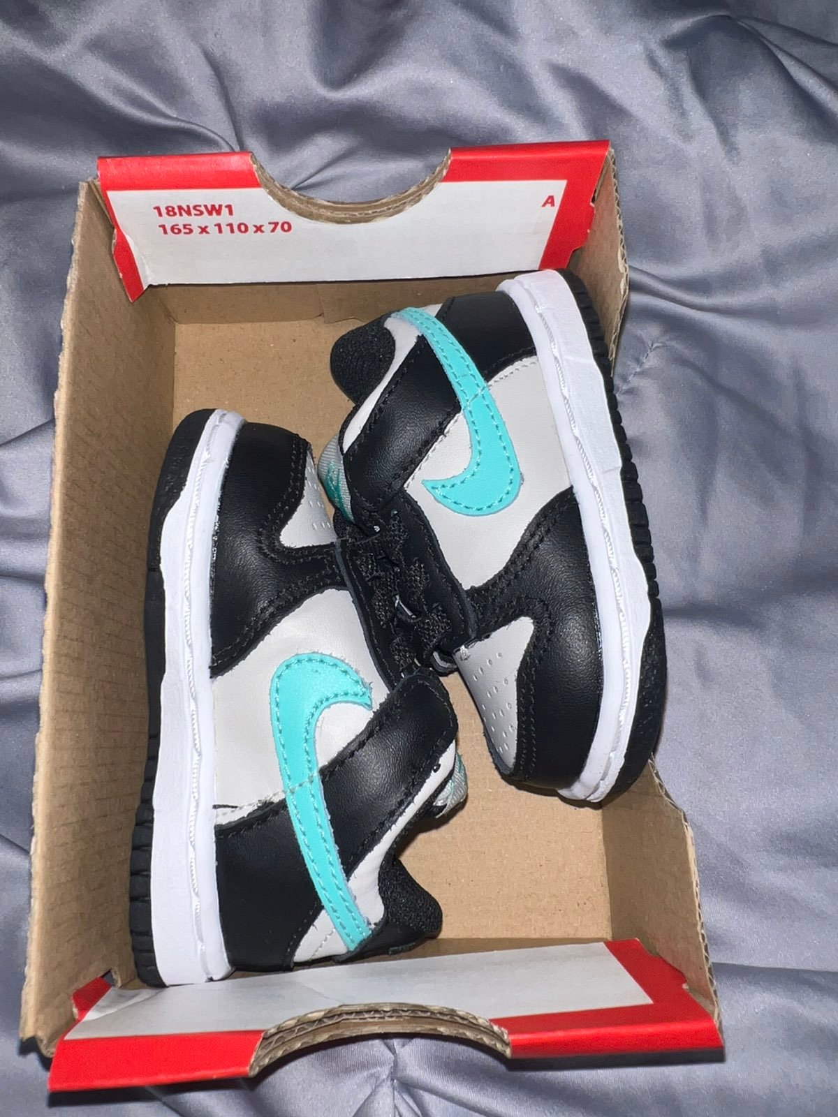 Toddler nike dunks