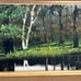 NOEL Original “Mountain River Landscape” Oil painting on Board 6”x15”