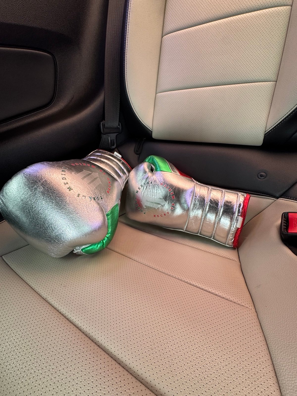 14 oz Boxing Gloves
