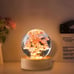 Resin carnation flower sphere with light base|Resin Crafts Gypsophila light|Crys