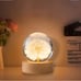 Resin carnation flower sphere with light base|Resin Crafts Gypsophila light|Crys