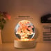 Resin carnation flower sphere with light base|Resin Crafts Gypsophila light|Crys