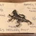 World War II military patch and pin high grade lot of 5 like new Collection