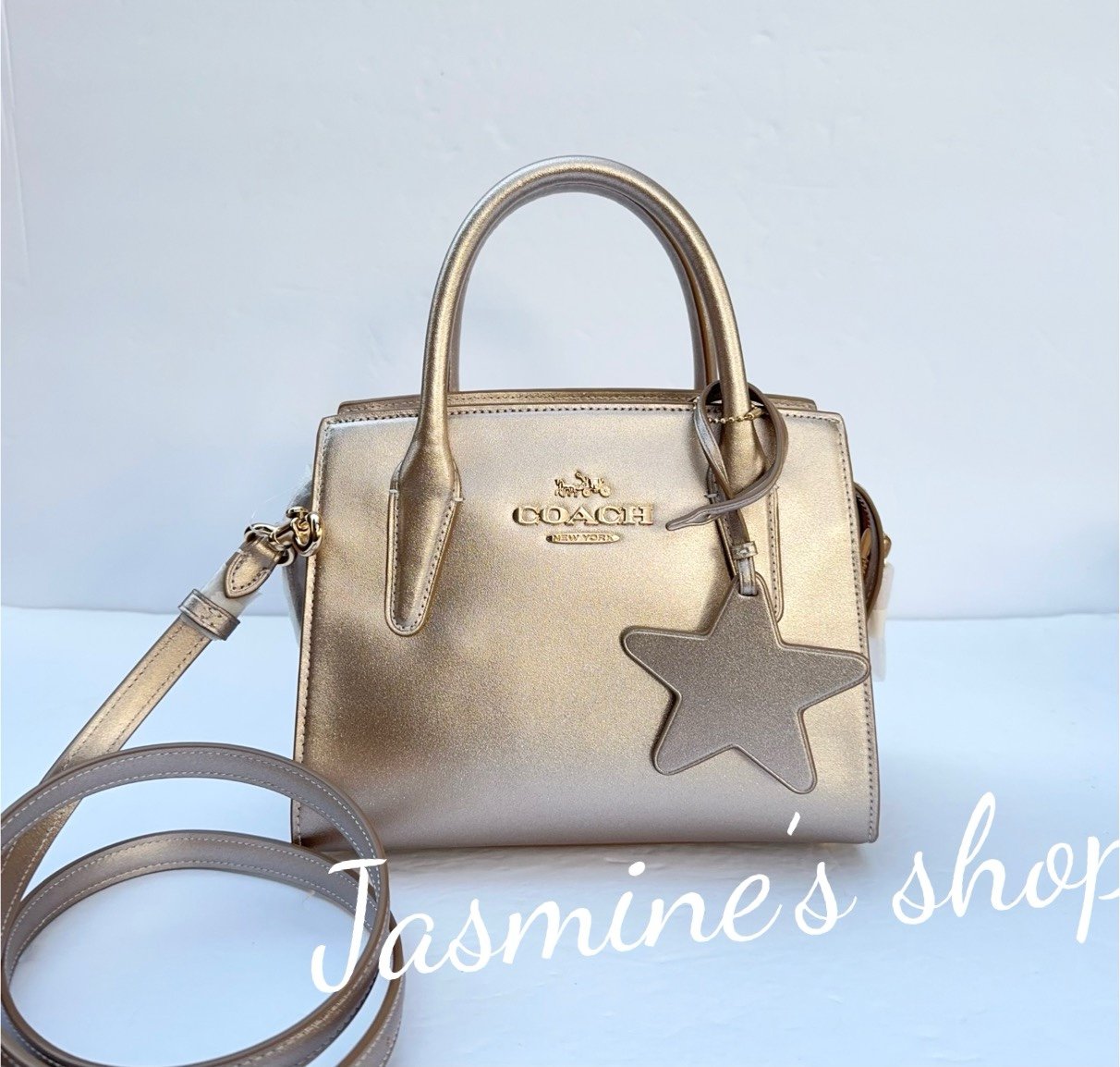 NWT Coach Andrea Carryall Bag CW024