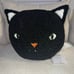 Pottery Barn Cat black Halloween throw pillow decor kitty plushie