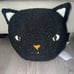 Pottery Barn Cat black Halloween throw pillow decor kitty plushie
