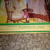 Vintage CPK Afghan Stenciling Kit