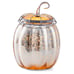Scentsy Fall Fairy Tale Warmer
