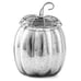 Scentsy Fall Fairy Tale Warmer