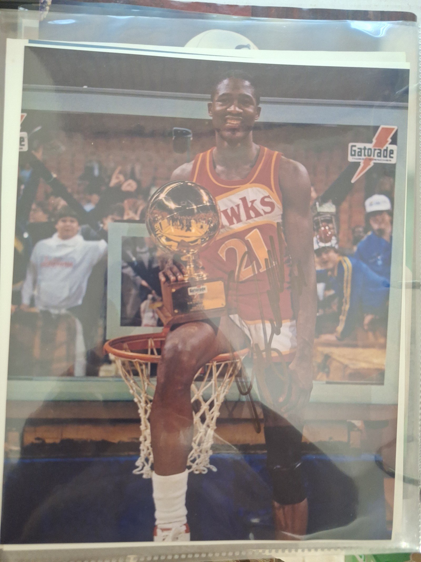 Dominique Wilkins autograph 8x10 picture