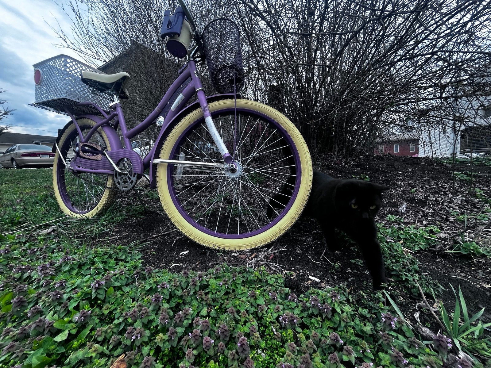 Huffy 24 Nel Lusso Cruiser Bike