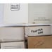4th Grade Girls Chapter Books Lot of 20 Teacher Classroom Library Set Homeschool