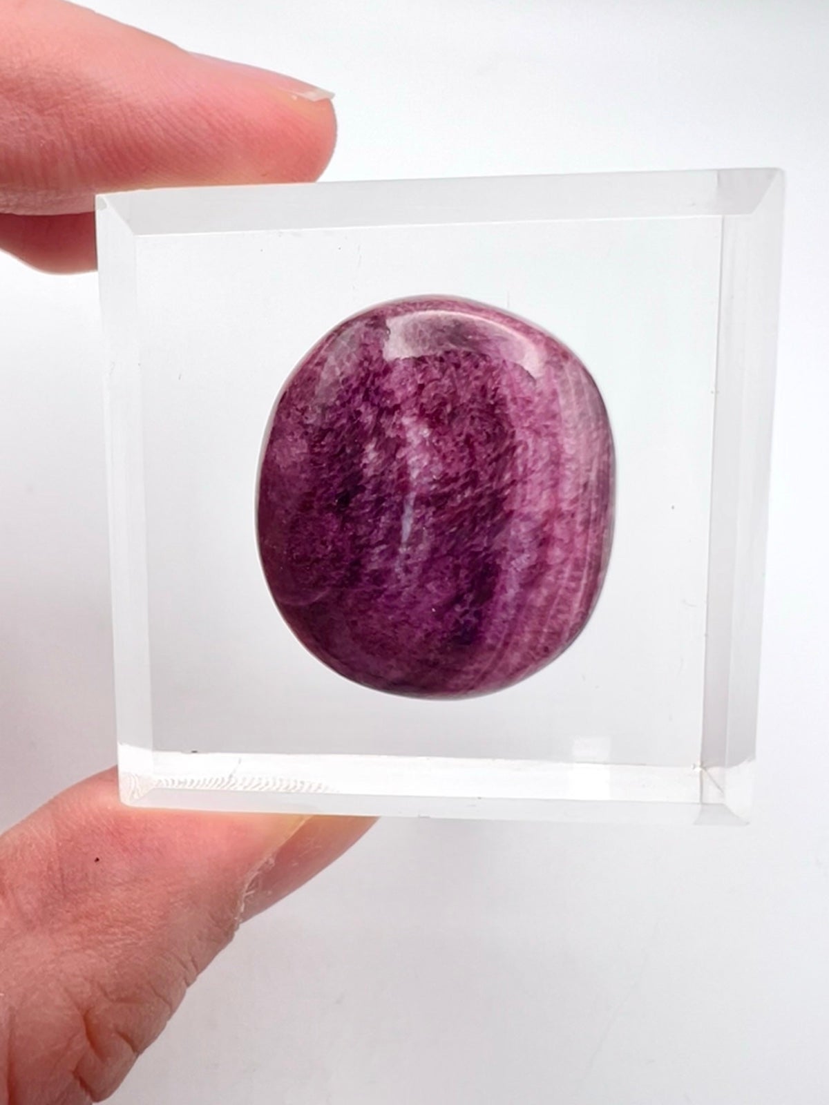 Spiny Oyster Cabochon (Mexico) – 3.56g, purple striated cab, oval