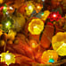 Fall Decor 30LED/10Ft 3D Pumpkin Lights Thanksgiving Decorations, 3 inch.
