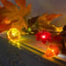 Fall Decor 30LED/10Ft 3D Pumpkin Lights Thanksgiving Decorations, 3 inch.