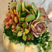 Succulent Pumpkin 4 - 5” Chubby White Fairytale Fall / Autumn Decor-jgj