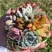 Succulent Pumpkin 4 - 5” Chubby White Fairytale Fall / Autumn Decor-jgj