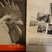 Life Magazines from 1937