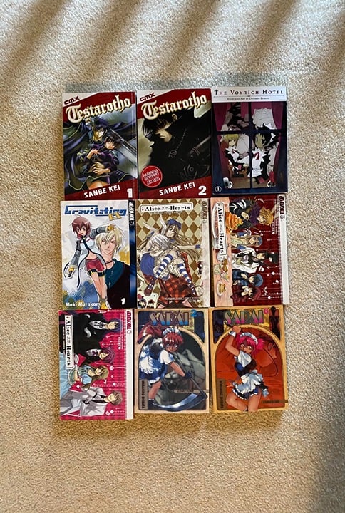 Manga Lot Assorted Series