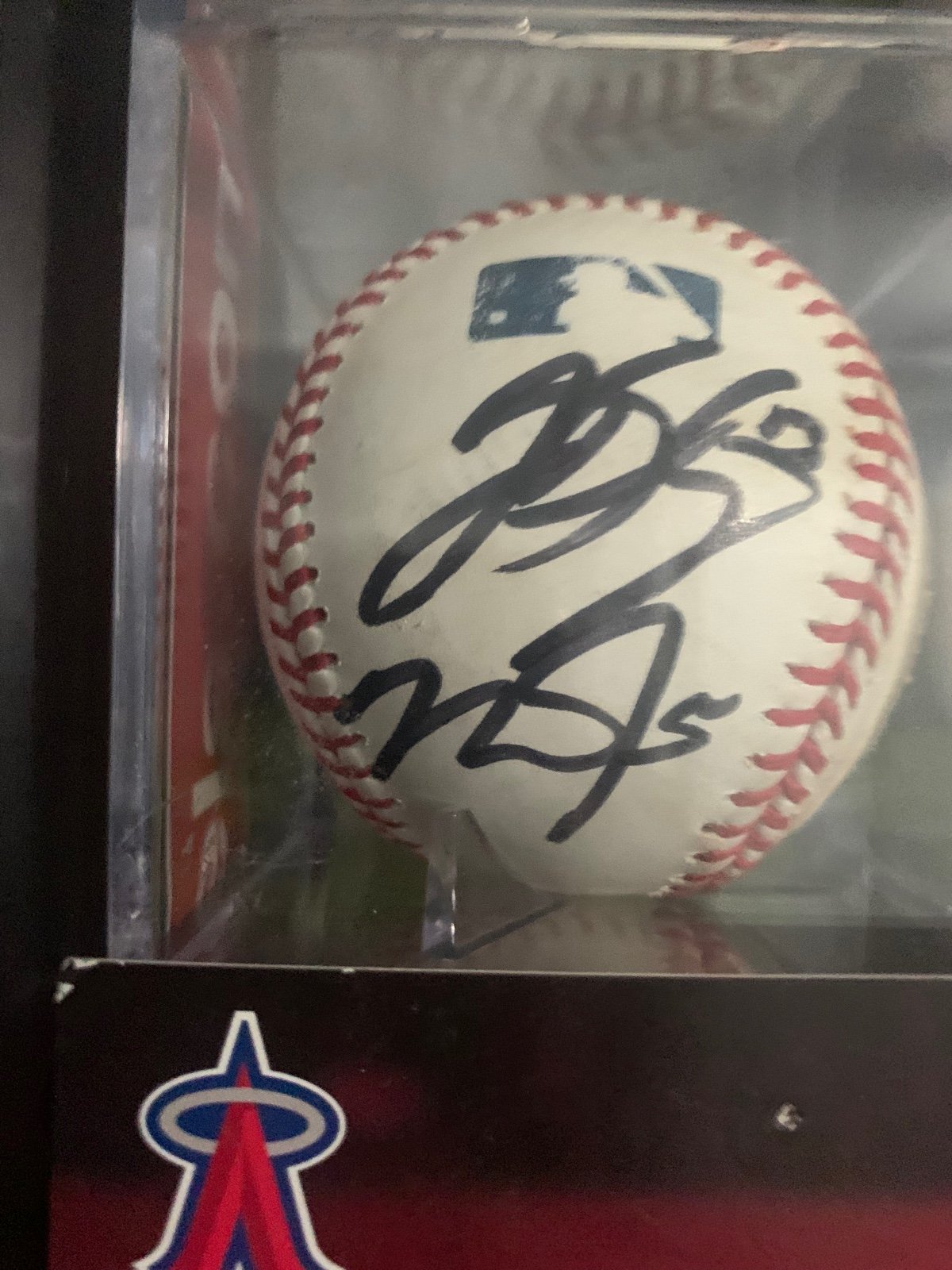 Mike Trout & Jett bandy Signed Baseball