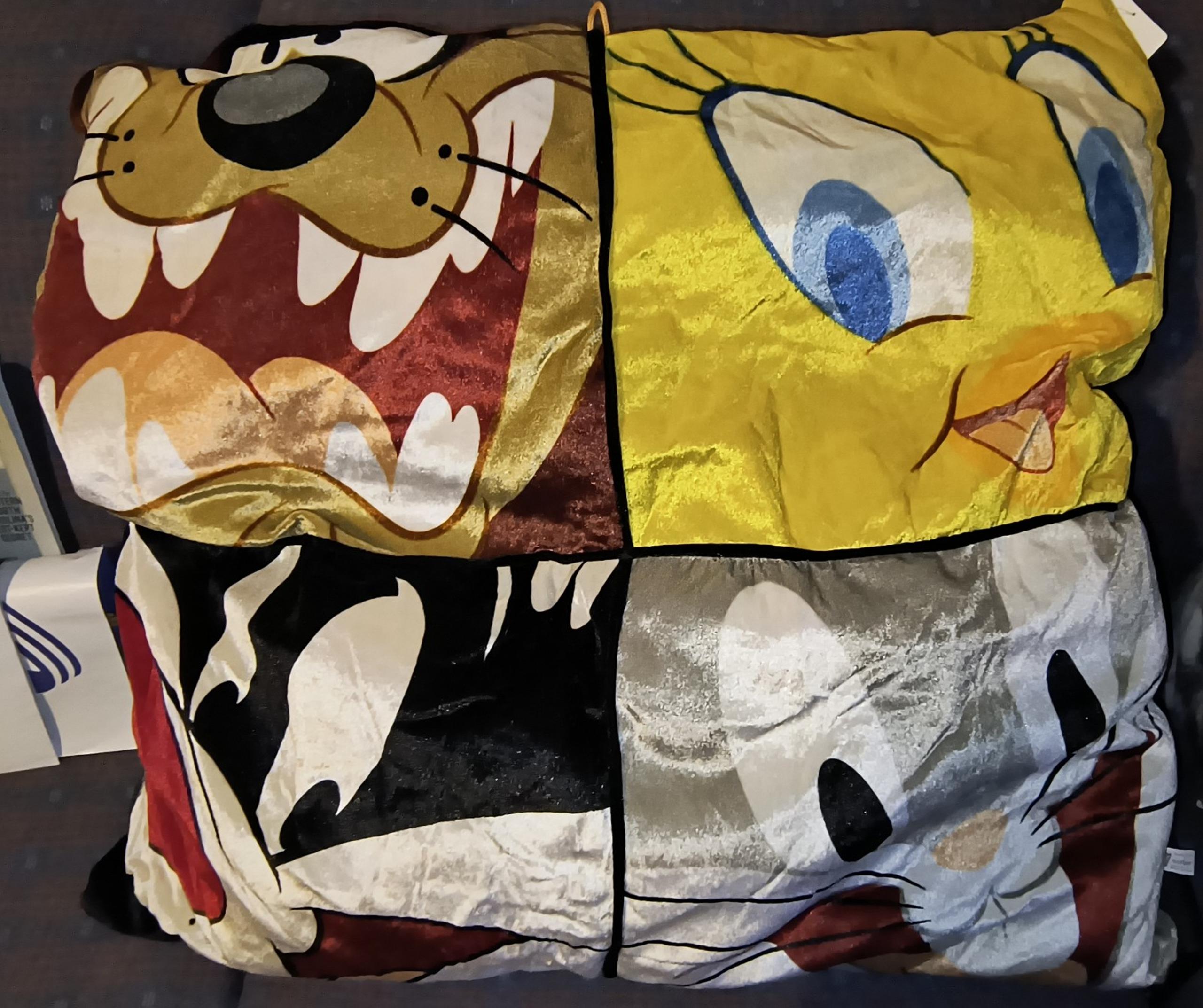 Size Flags Looney Tunes Pillow