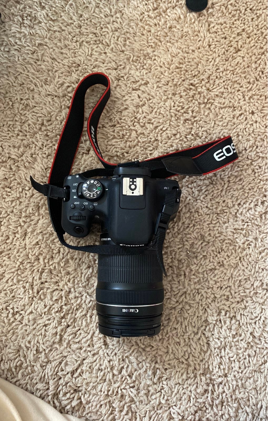 Canon eos rebel t6i digital cameras