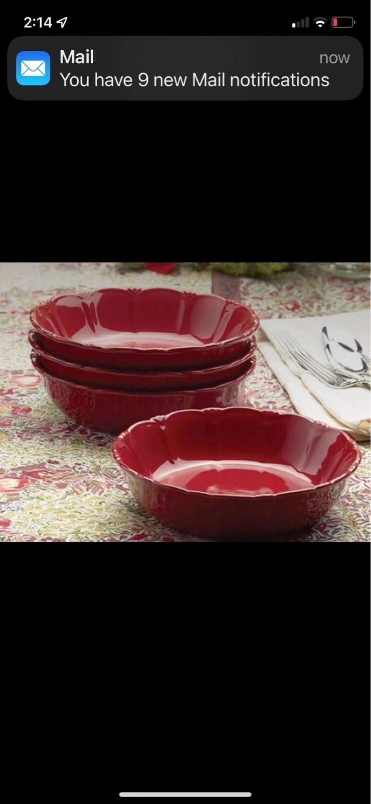 PRINCESS HOUSE pasta Bowls RUBY 8 PCS