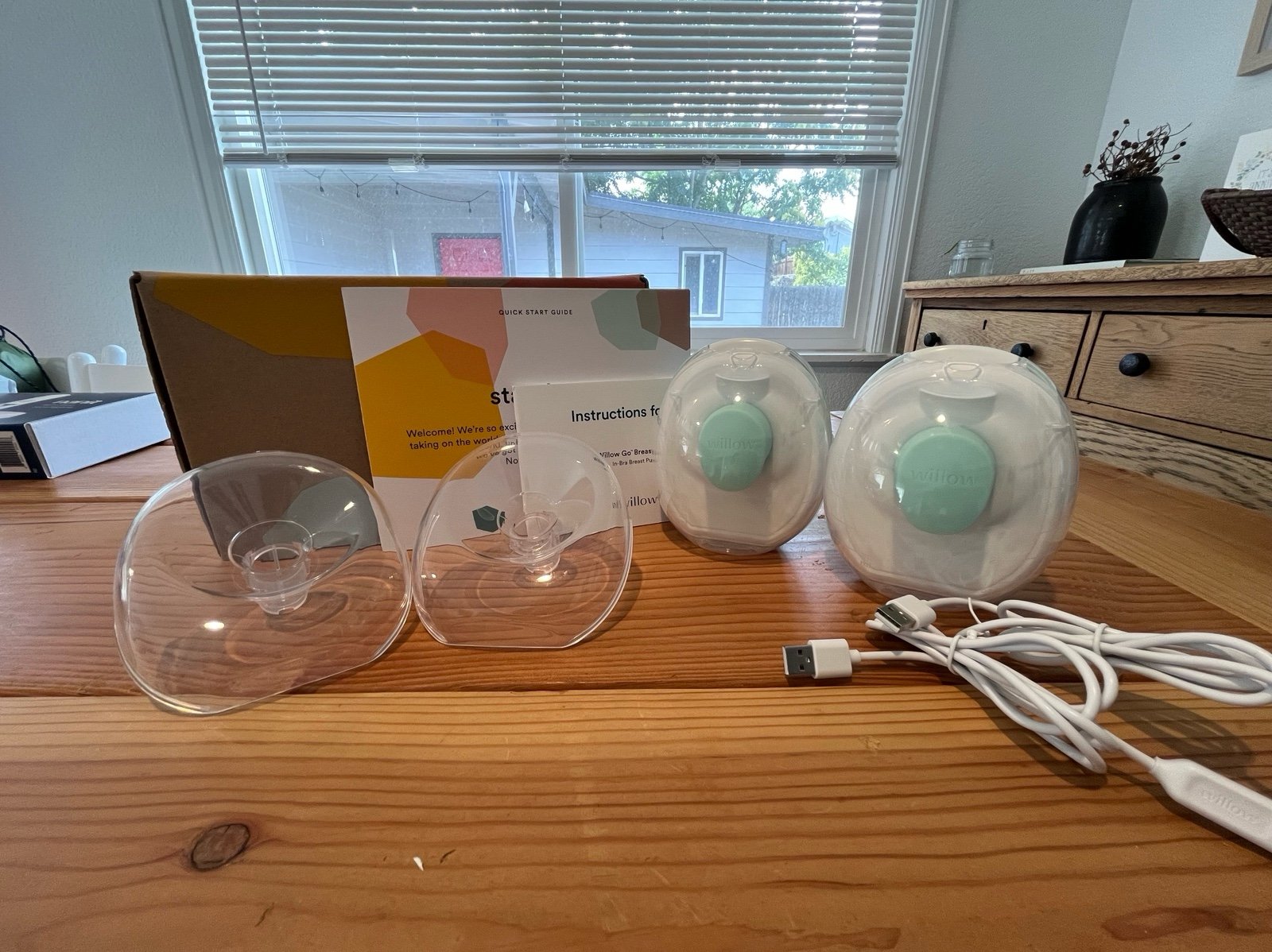 WILLOW go breast pump