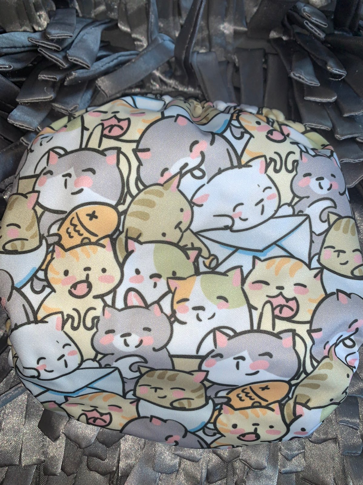 Mama koala cats
