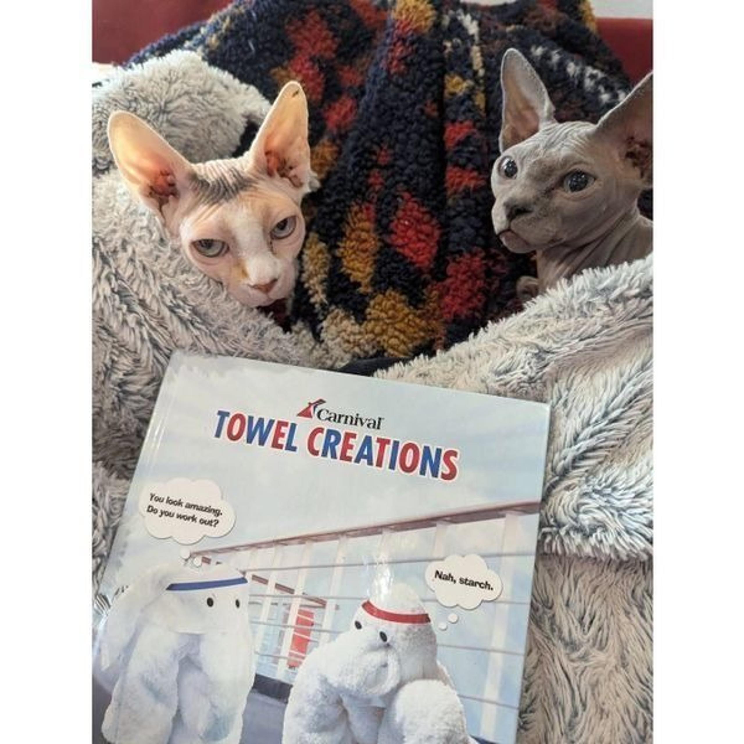 Carnival Towel Creations Book