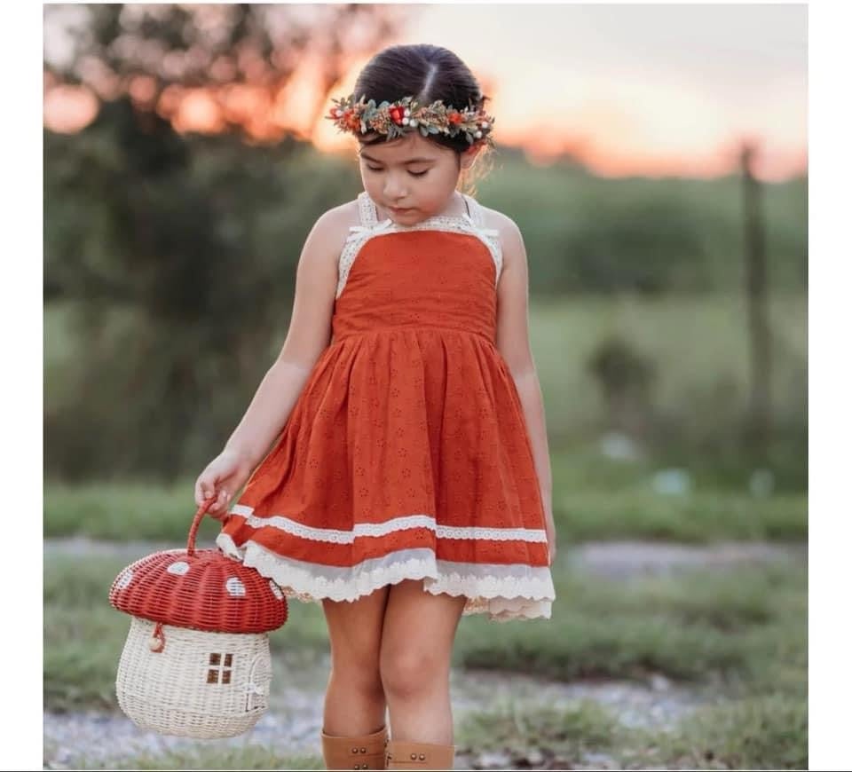 love and grow clothing pumpkin pie dress with shorts