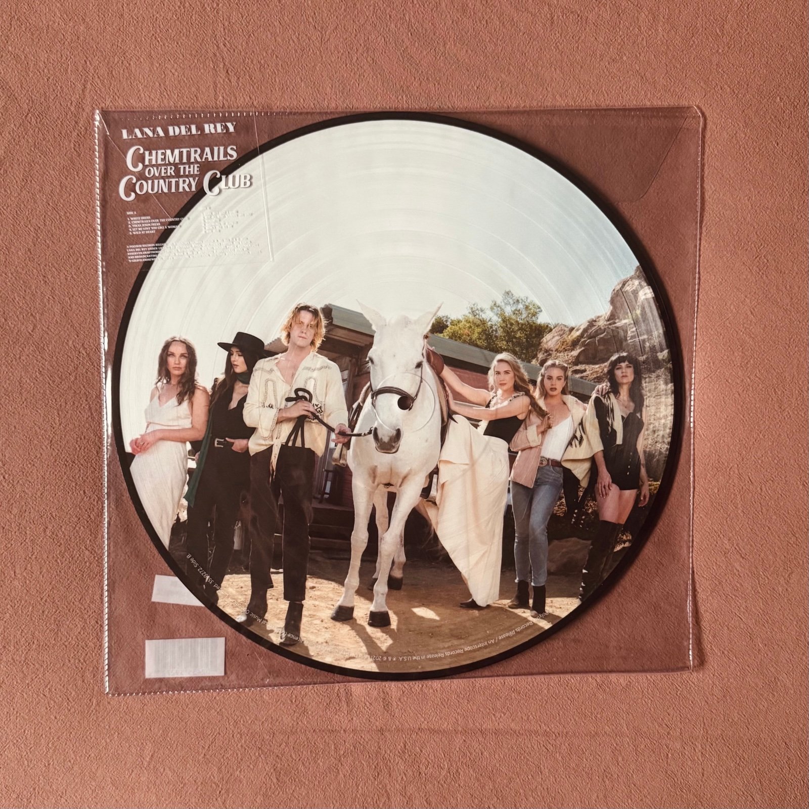 Lana Del Rey Vinyl