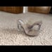 NWOT Steve Madden Heels