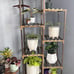 Tall Plant Stand for Indoor Plants Outdoor Corner Plant Shelf Flower Stand