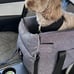 Dog car seat