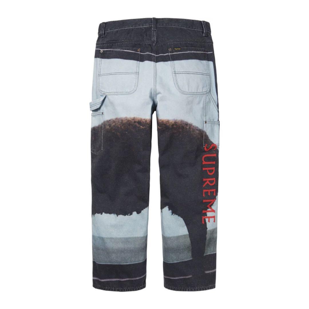 25SS】Supreme/Damien Hirst Painter Jean