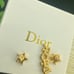 Women's Jewelry Earrings Accessories fashionable, versatile
